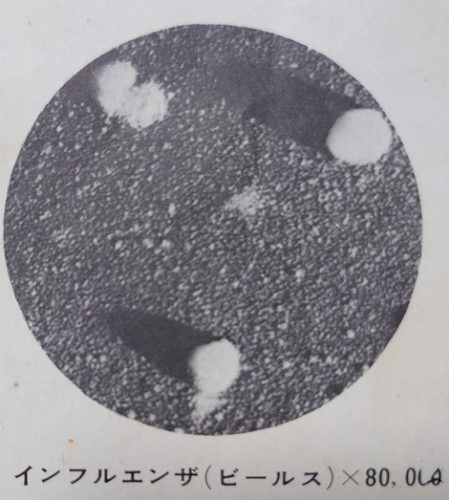 インフルエンザビールス