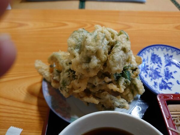 かめや ふきのとう